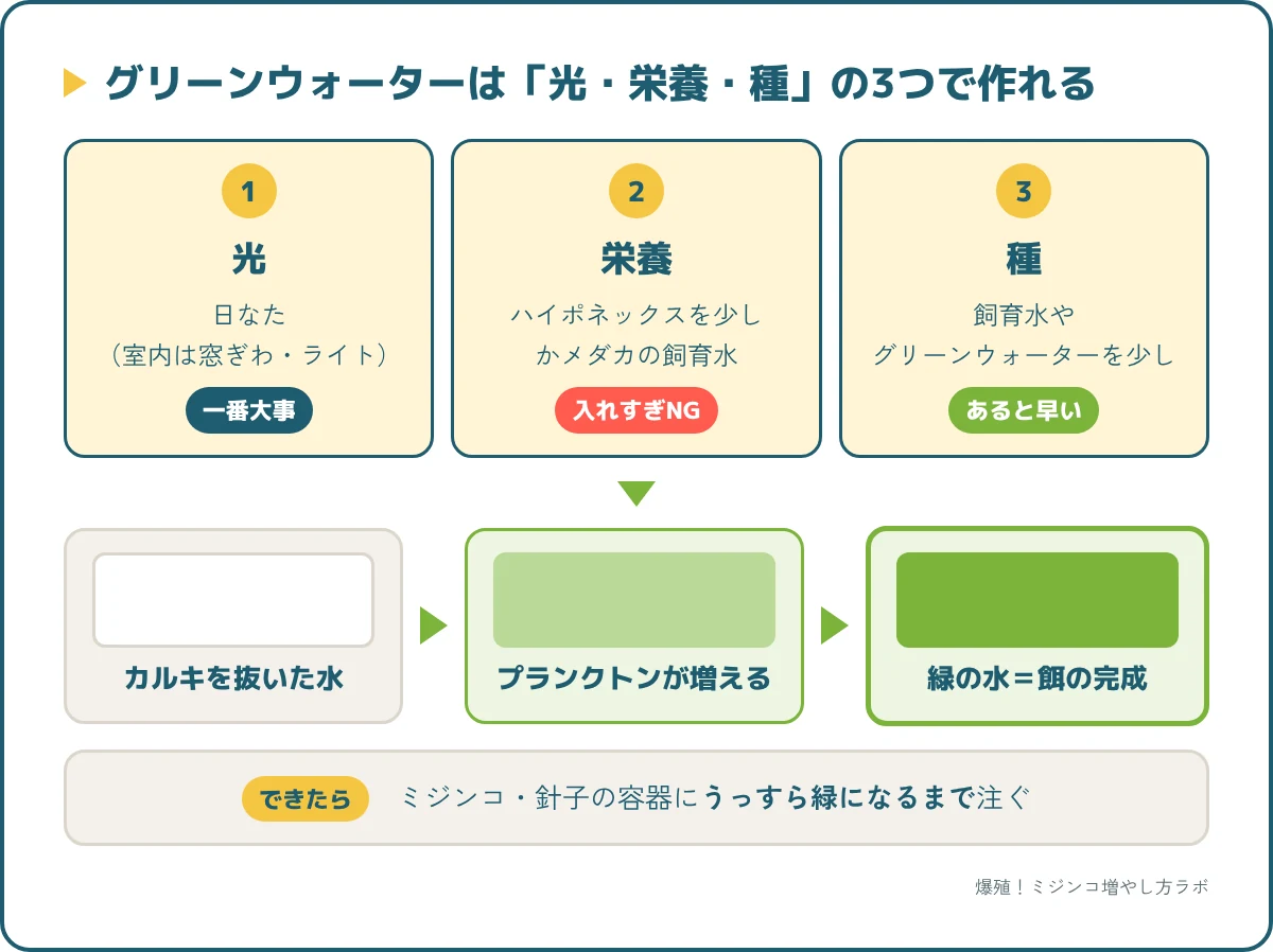 グリーンウォーターに必要な3つの材料（光・栄養・種）と、緑の水ができるまでの流れ