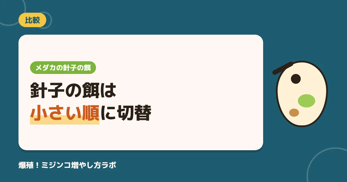 メダカの針子の餌は生き餌で差がつく！5種類の比較と日齢ごとの切り替え方