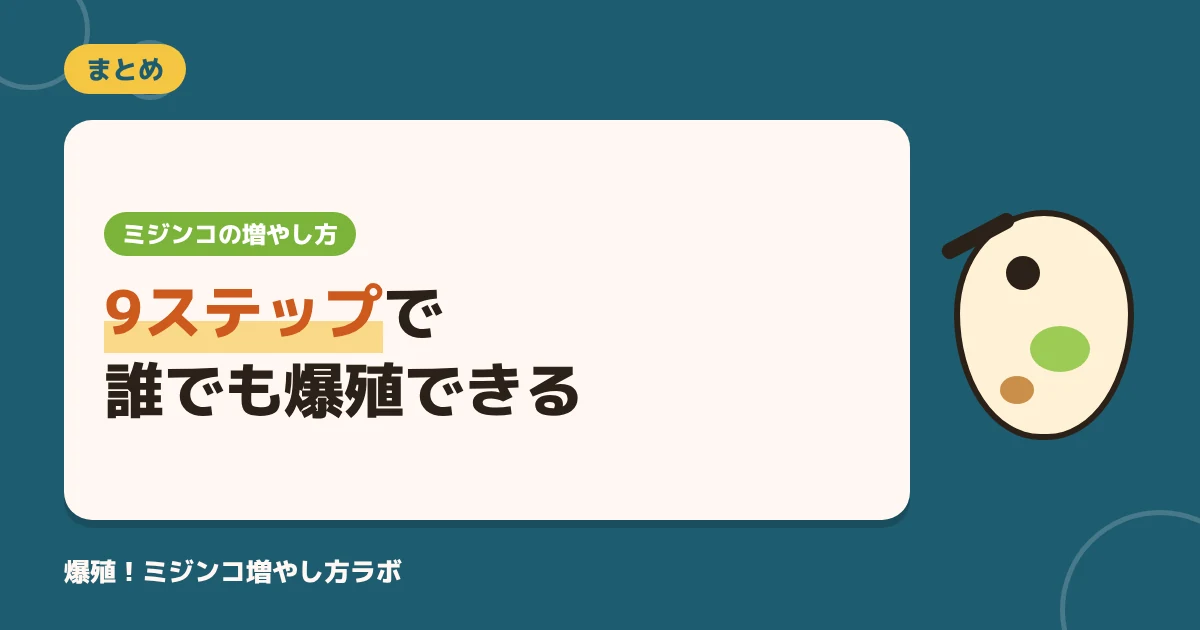 ミジンコの増やし方は9ステップで簡単！培養のコツと全滅させない方法