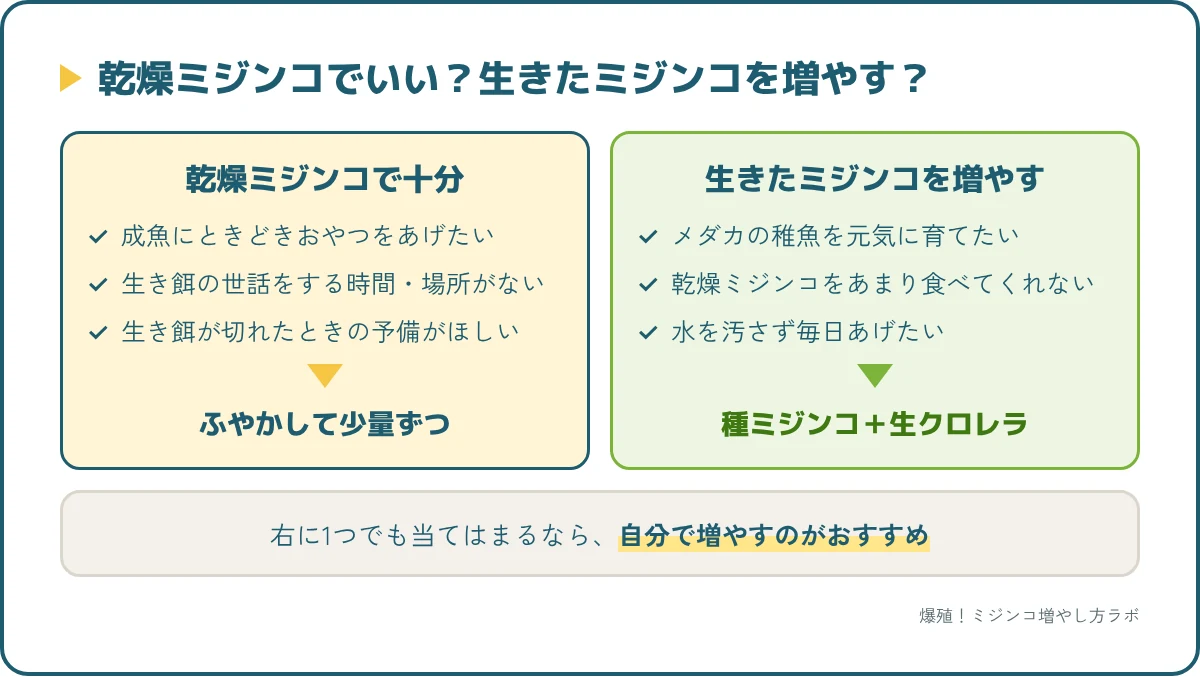 乾燥ミジンコが向いている人と、生きたミジンコを増やすのが向いている人の分かれ道