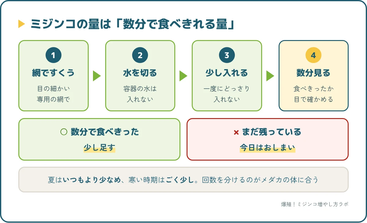 メダカにミジンコをあげる手順。網ですくって水を切り、少し入れて数分見て、食べきったら足す