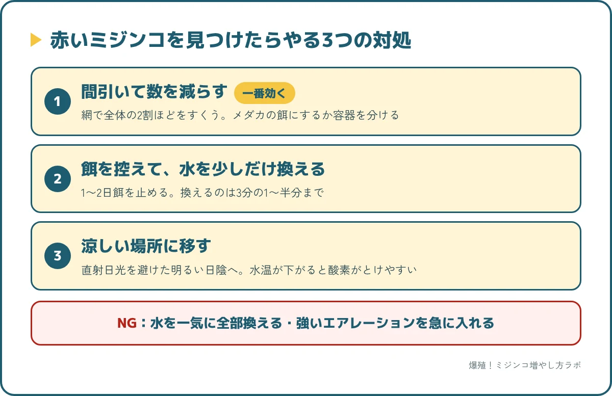赤いミジンコを見つけたらやる3つの対処。間引いて数を減らす、餌を控えて水を少し換える、涼しい場所に移す