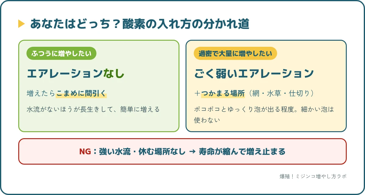 酸素の入れ方の分かれ道。ふつうはエアレーションなしで間引く、過密で大量に増やすならごく弱いエアレーションとつかまる場所