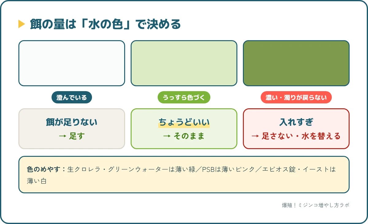 ミジンコの餌の量は水の色で判断。澄んだら足す、うっすら色づくのがちょうどいい、濃い色や濁りが戻らないのは入れすぎ