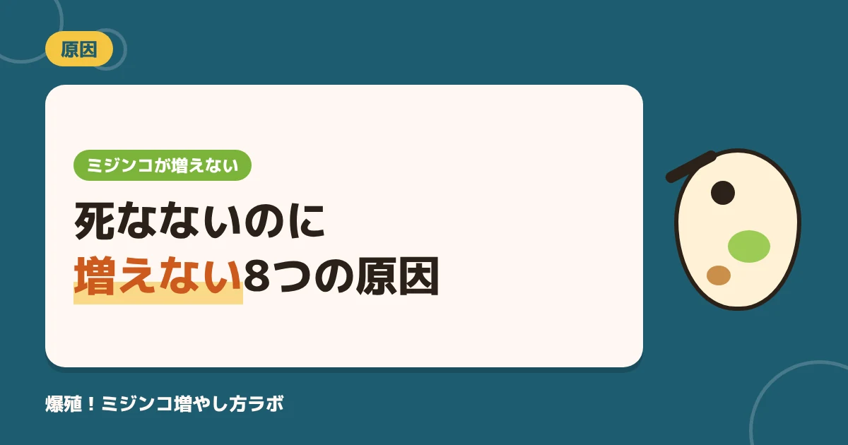 ミジンコが増えない8つの原因｜「死なないのに増えない」を直すチェックリスト