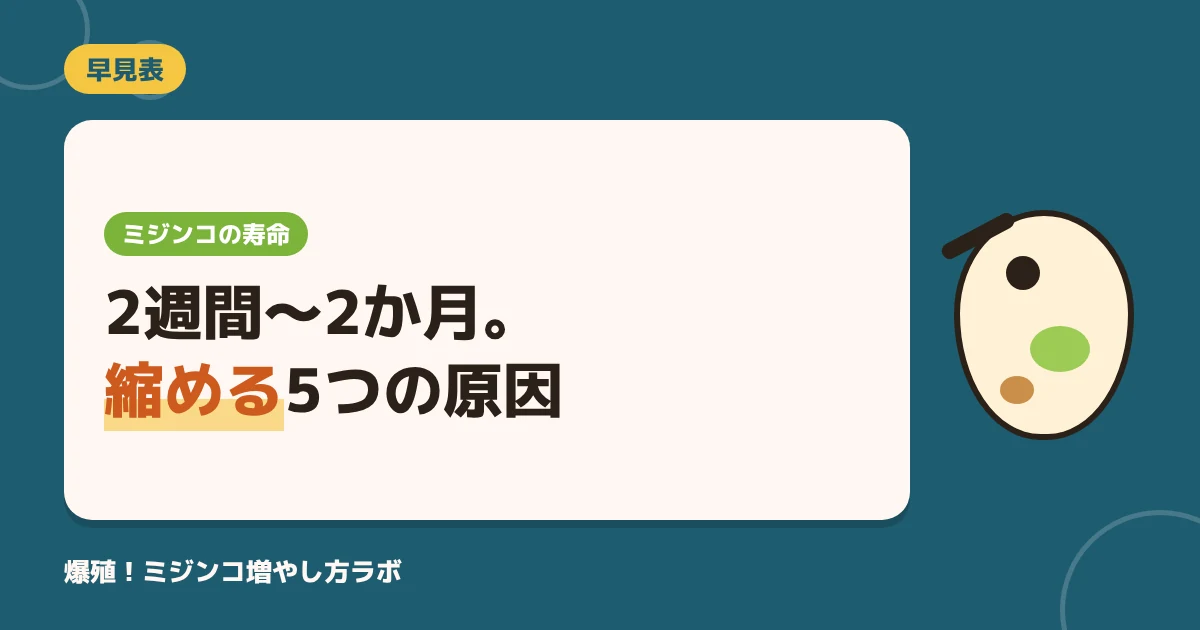 ミジンコの寿命は何日？種類・水温別の早見表と寿命を縮める5つの原因
