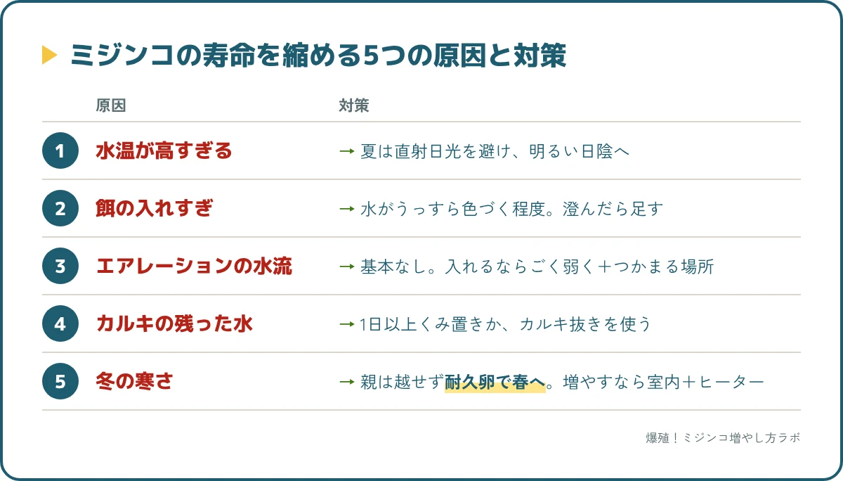 ミジンコの寿命を縮める5つの原因と対策。高水温、餌の入れすぎ、エアレーションの水流、カルキ、冬の寒さ