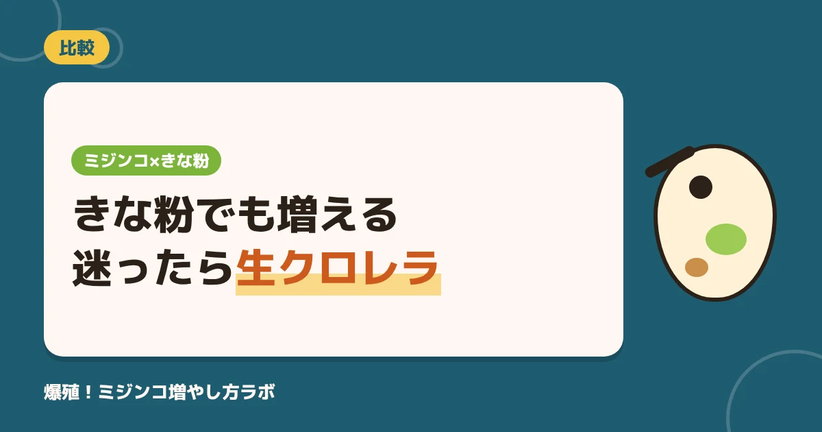 ミジンコはきな粉で増える？量の目安と腐らせないコツ｜生クロレラとの比較も