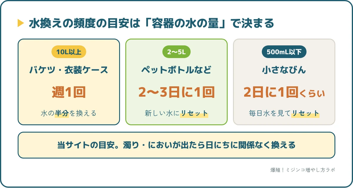 ミジンコの水換えの頻度は容器で決まる。10L以上は週1回半分、2〜5Lのペットボトルは2〜3日に1回リセット