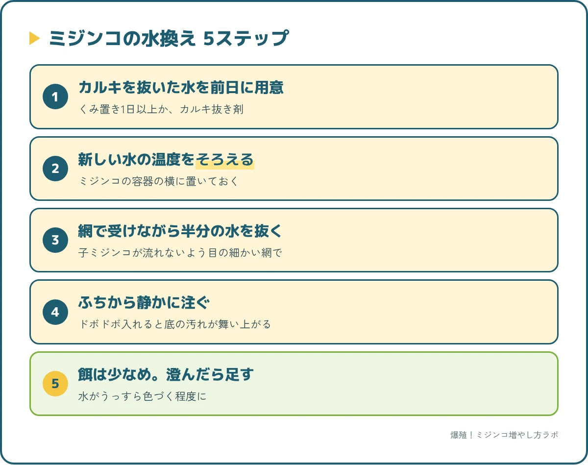 ミジンコの水換え5ステップ。水を用意、水温をそろえる、網で受けて抜く、静かに注ぐ、餌は少なめ