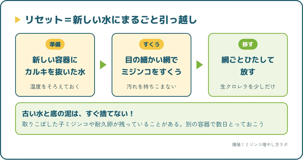 ミジンコのリセットは、新しい水を用意して網ですくって移すだけ。古い水と底の泥はすぐ捨てずにとっておく