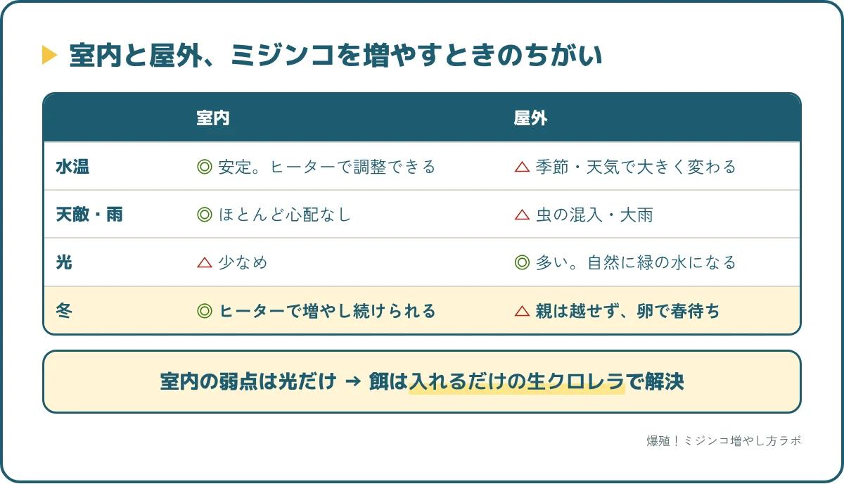 室内と屋外でミジンコを増やすときのちがい。室内は水温が安定し天敵もいないが、光が少ないので餌は入れるタイプを使う