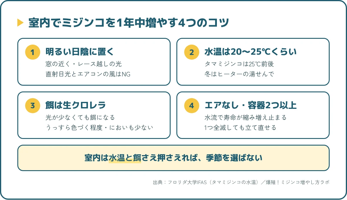 室内でミジンコを1年中増やす4つのコツ。明るい日陰に置く、水温20〜25℃、餌は生クロレラ、エアレーションなしで容器は2つ以上