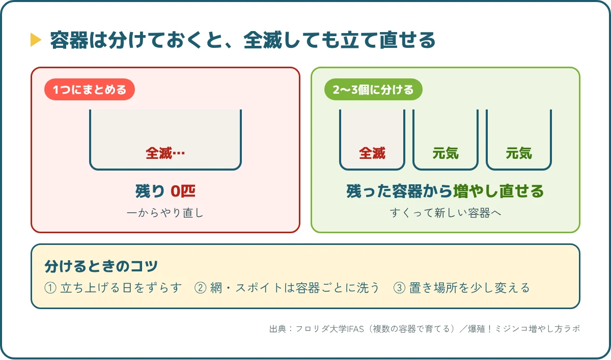 容器を1つにまとめると全滅で0匹になるが、2〜3個に分けておけば残った容器から増やし直せる