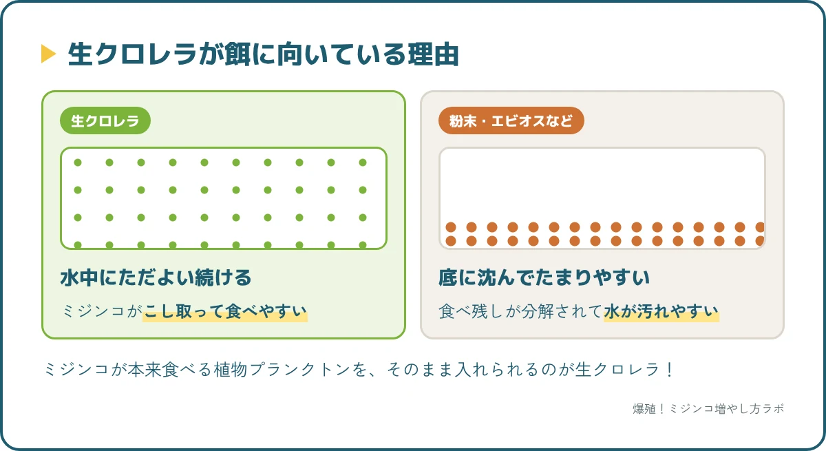 生クロレラは水中にただよい食べられやすい。粉末やエビオスは沈んで汚れの元になりやすい