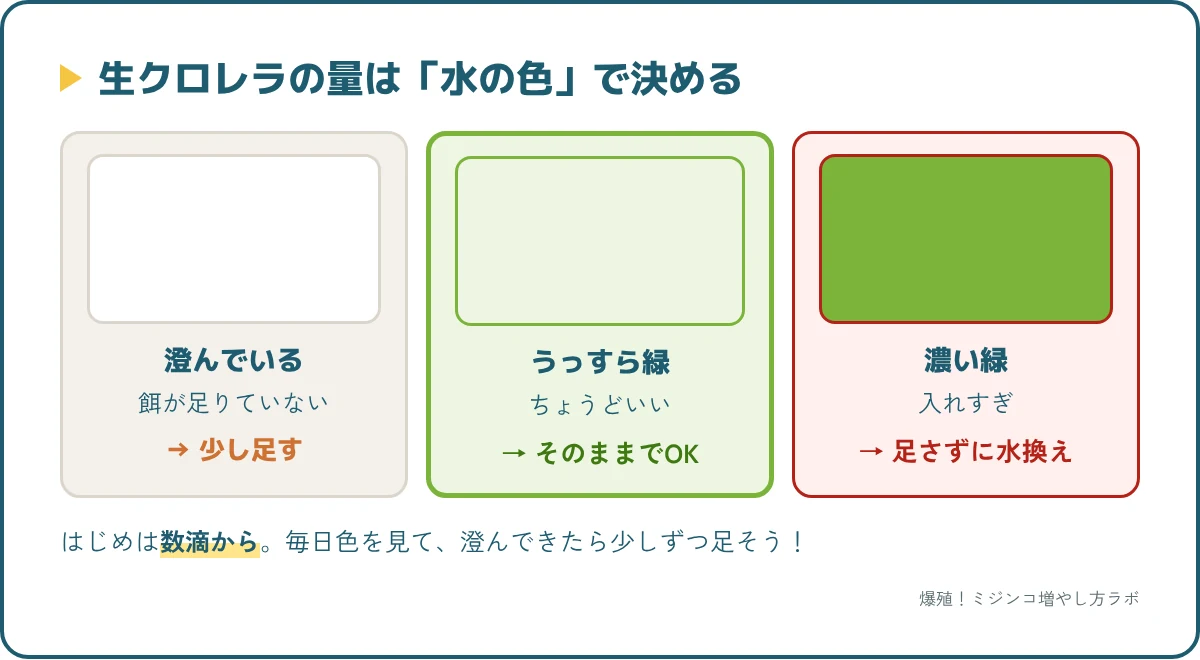 水の色で見る生クロレラの量。澄んだら足す、うっすら緑がちょうどいい、濃い緑は入れすぎ