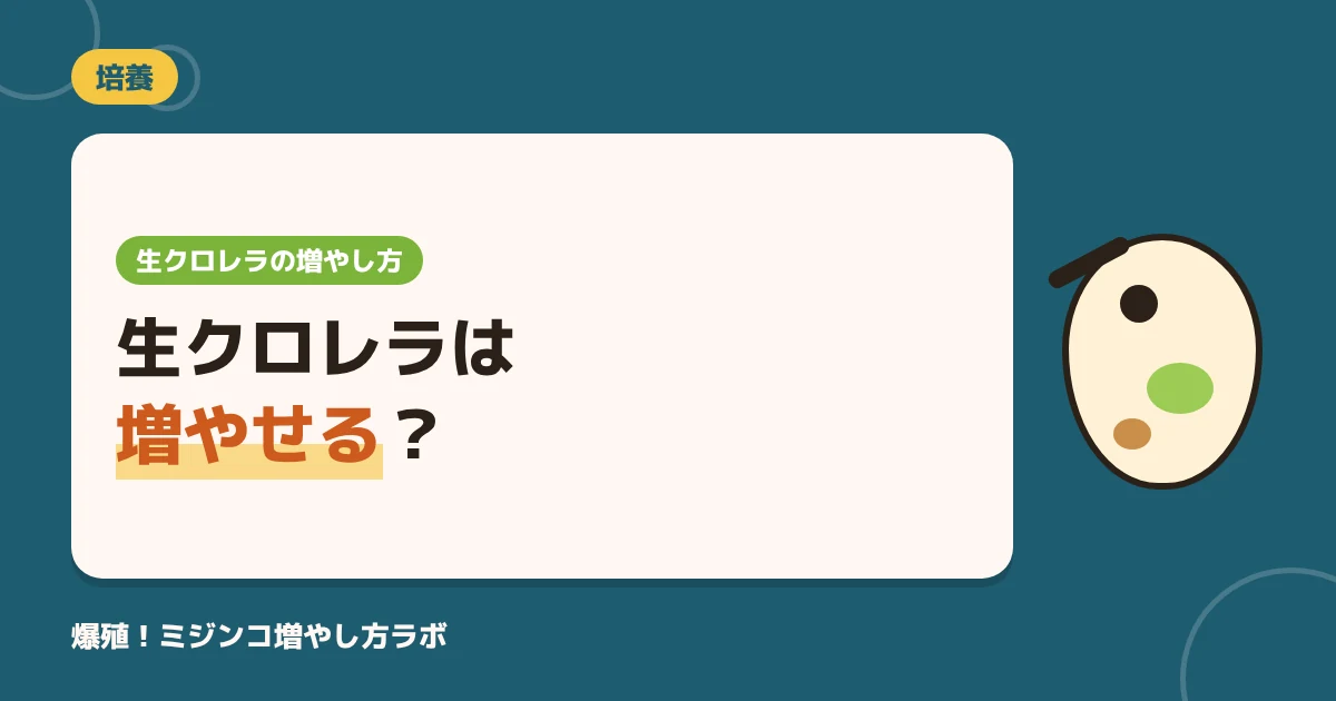 生クロレラは培養できる？家で増やす4ステップと失敗する5つの原因