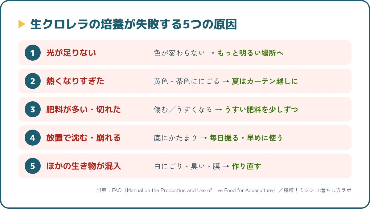 生クロレラの培養が失敗する5つの原因。暗すぎる、熱くなりすぎる、肥料の量が合わない、放置で沈む・増えすぎ、ほかの生き物が混ざる