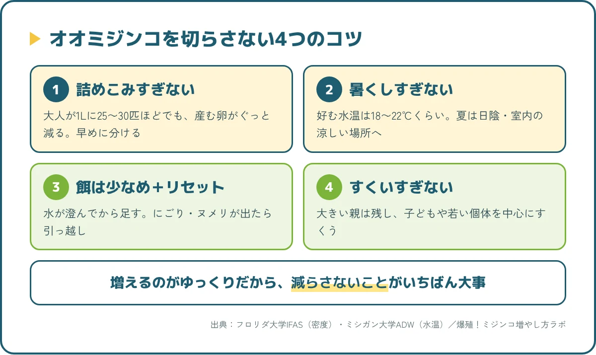 オオミジンコを切らさない4つのコツ(詰めこまない・暑くしすぎない・餌は少なめ・すくいすぎない)