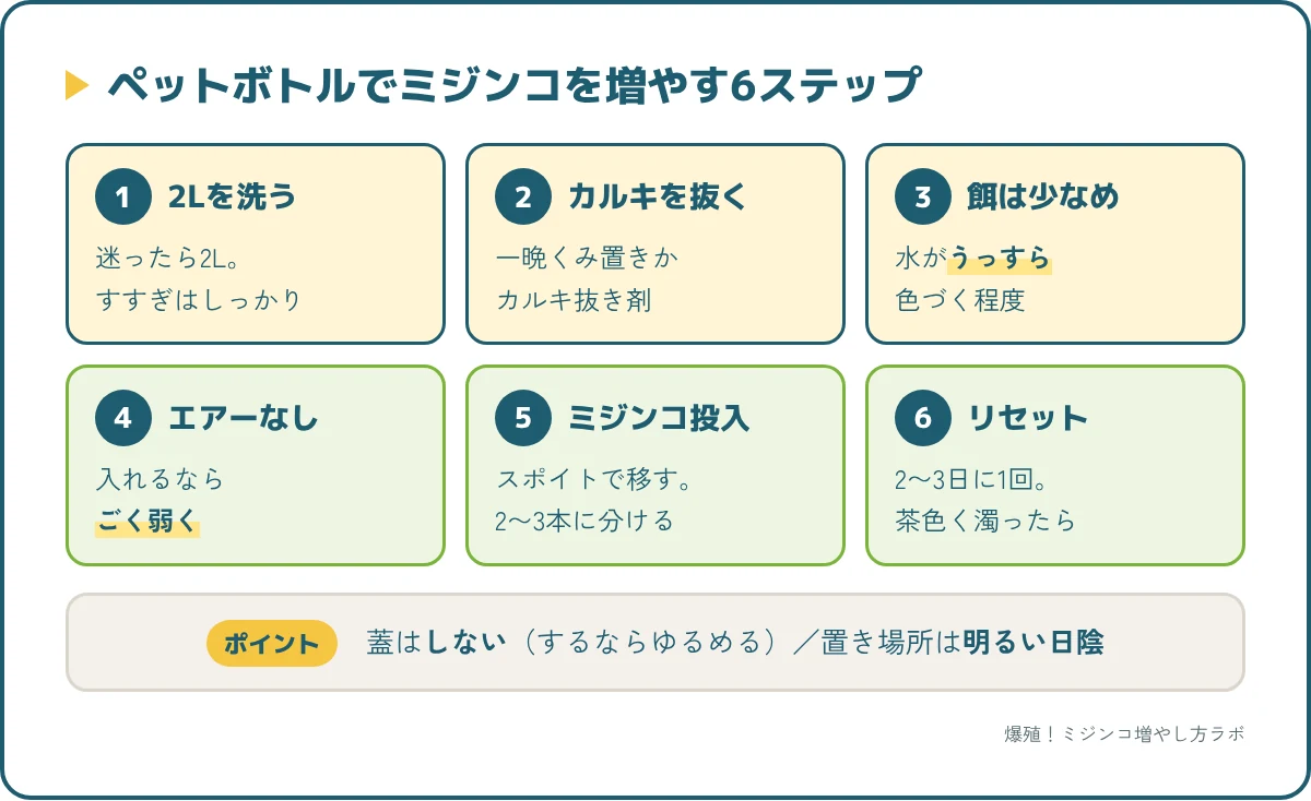 ペットボトルでミジンコを増やす6ステップの流れ図