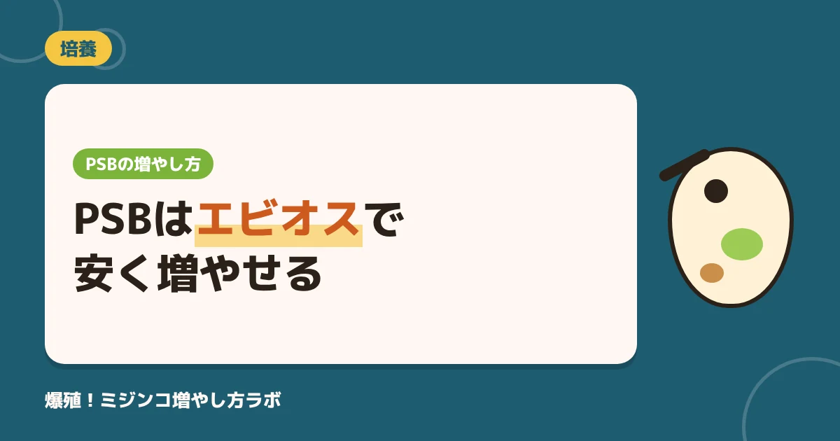PSBの培養方法！エビオスで増やす5ステップと失敗の見分け方