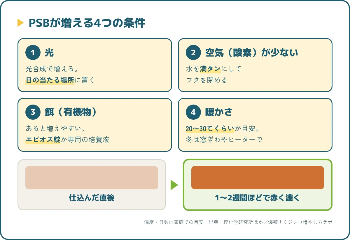 PSBが増える4つの条件（光・空気少なめ・餌・暖かさ20〜30℃）の図