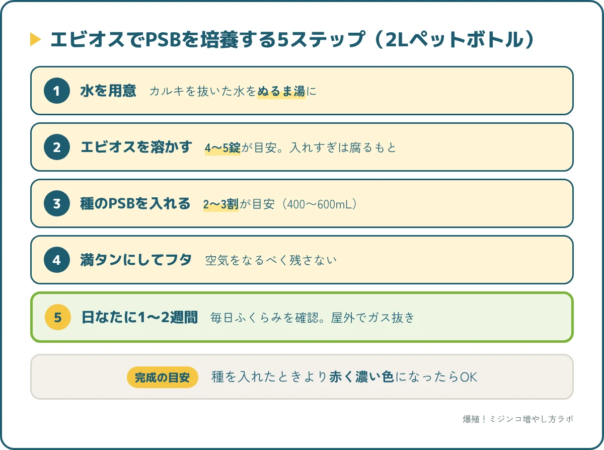 エビオスでPSBを培養する5ステップ（水・エビオス・種PSB・満水でフタ・日なたで1〜2週間）