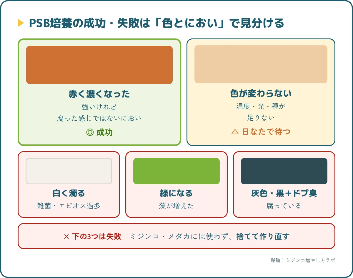 PSB培養の成功と失敗の見分け方。赤く濃くなれば成功、白・緑・灰色やドブ臭は失敗