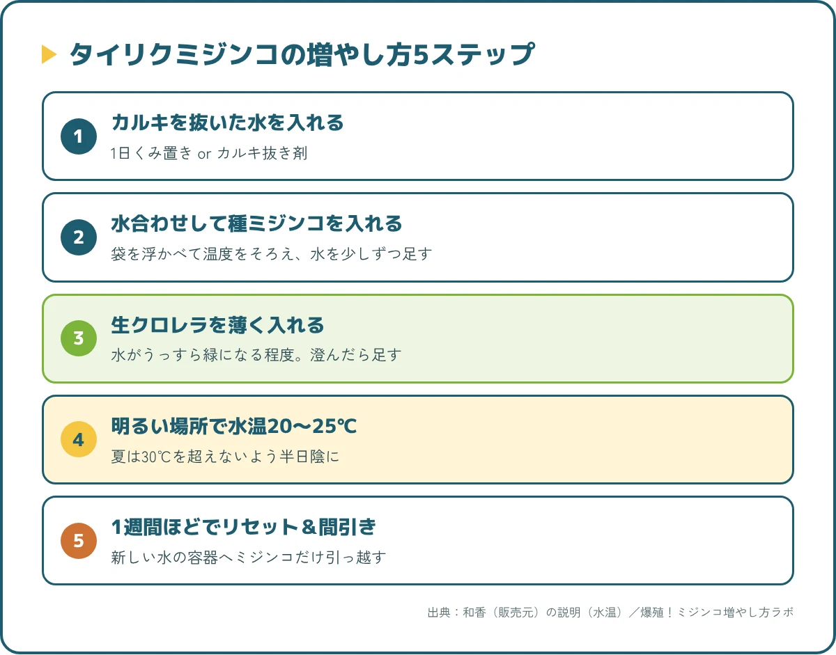 タイリクミジンコの増やし方5ステップ（水の準備・水合わせ・エサ・水温・リセットと間引き）