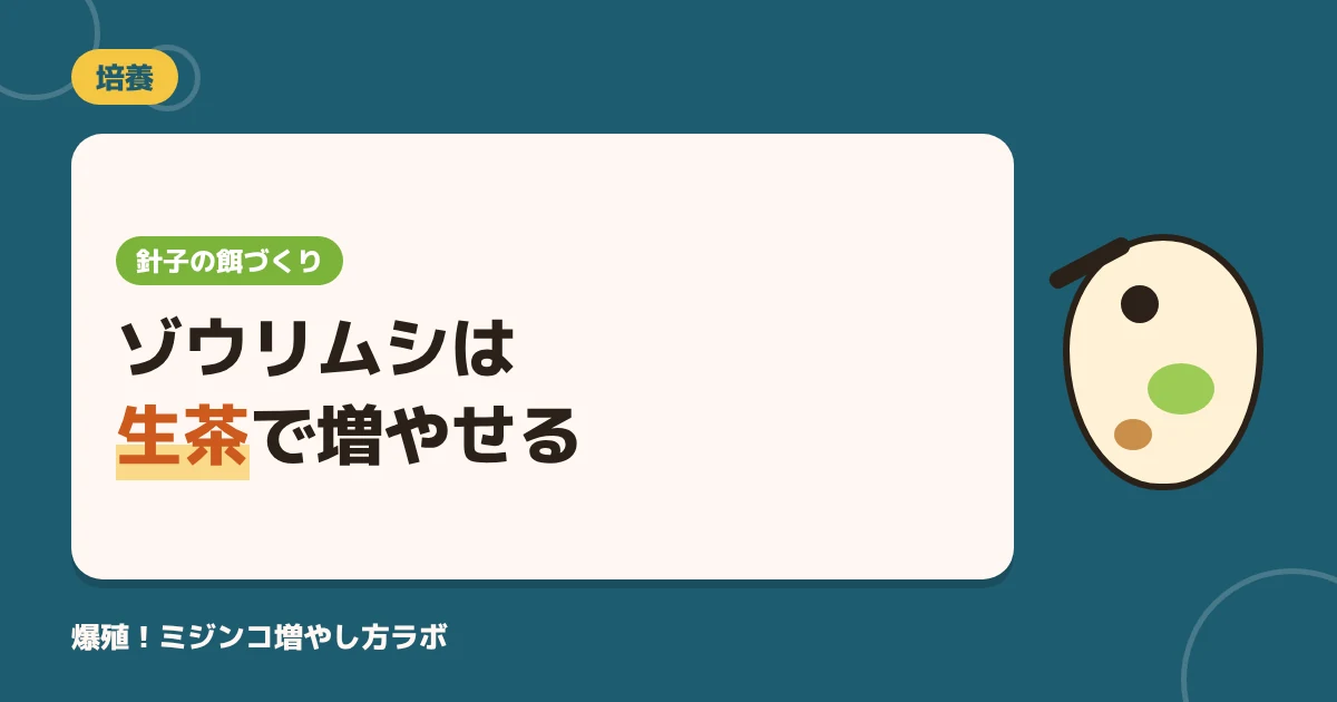 ゾウリムシの培養は生茶で簡単！増やし方5ステップと失敗する6つの原因